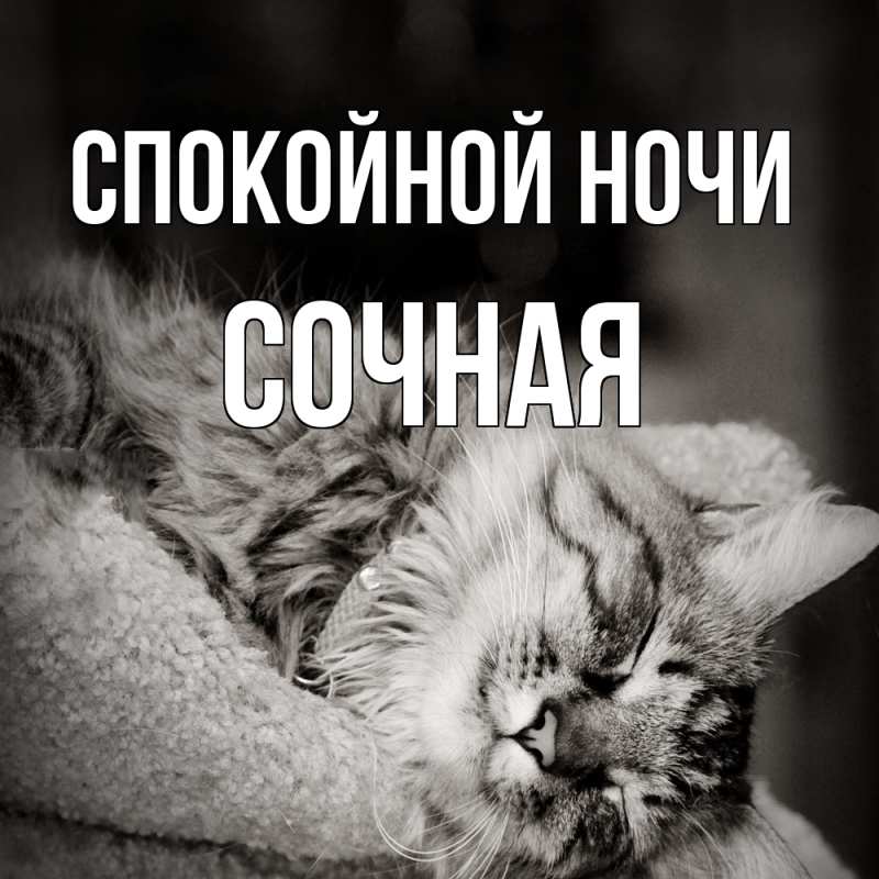 Картинка Спокойной ночи, Сочная