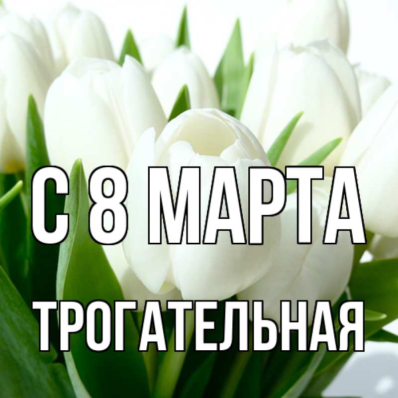 Картинка C 8 МАРТА, Тpогательная