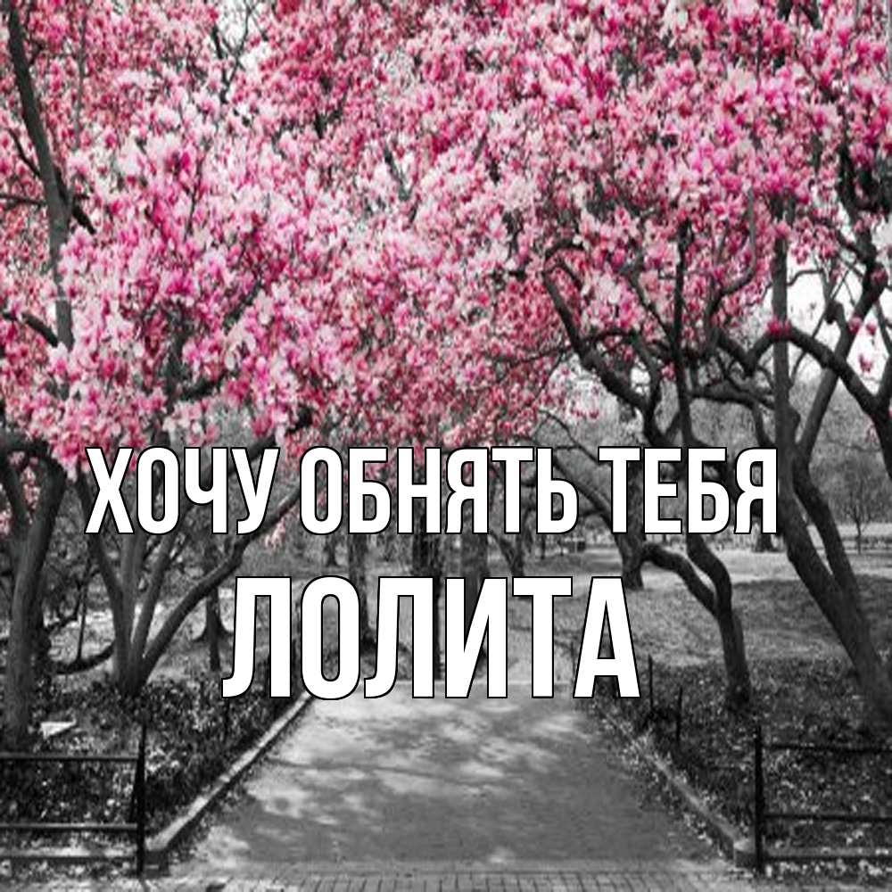 Открытка на каждый день с именем, Лолита Хочу обнять тебя обработанное фото Прикольная открытка с пожеланием онлайн скачать бесплатно 
