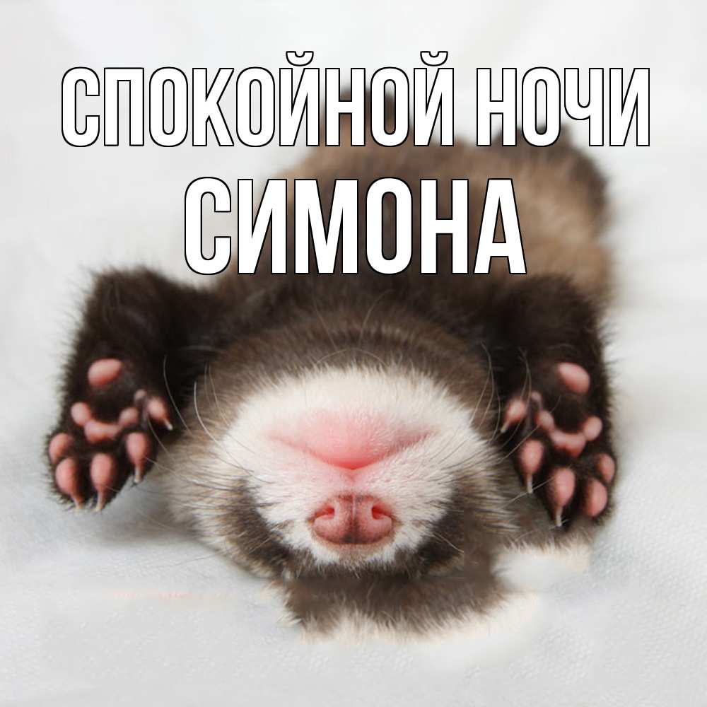 Открытка на каждый день с именем, Симона Спокойной ночи зверек Прикольная открытка с пожеланием онлайн скачать бесплатно 