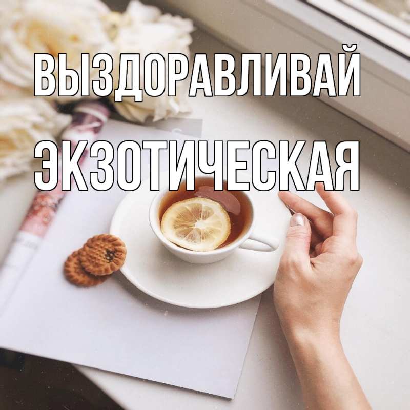 Картинка Выздоравливай, Экзотическая