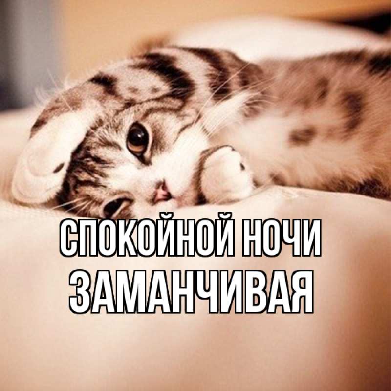 Картинка Спокойной ночи, Заманчивая