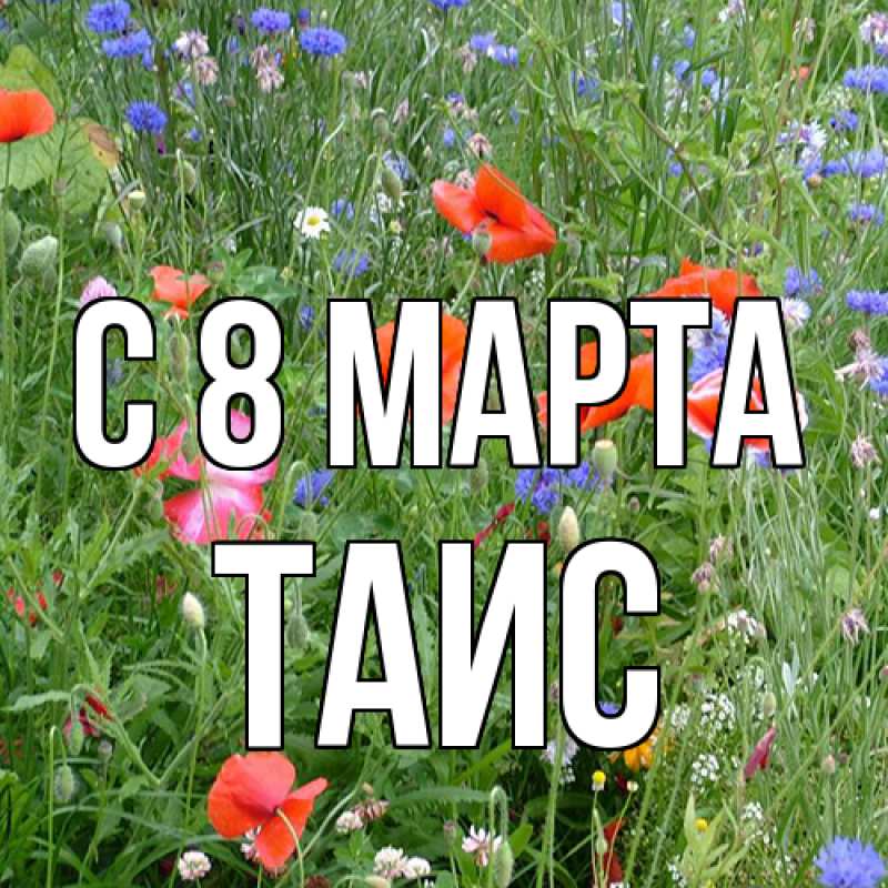 Картинка C 8 МАРТА, Таис