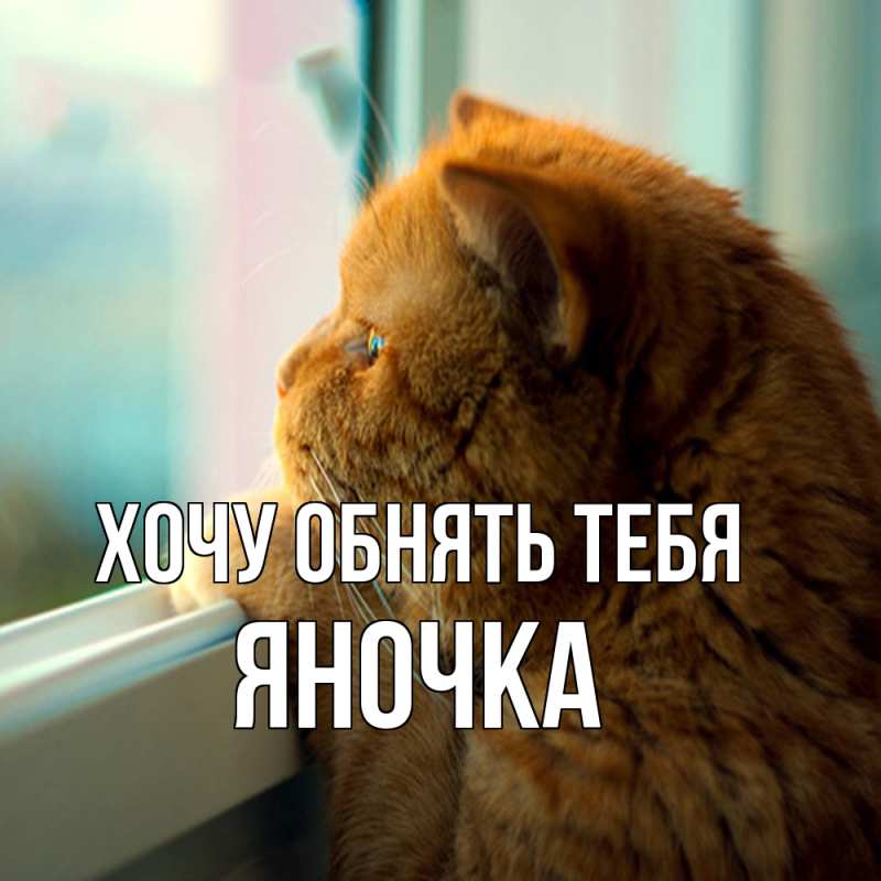 Картинка Хочу обнять тебя, Яночка