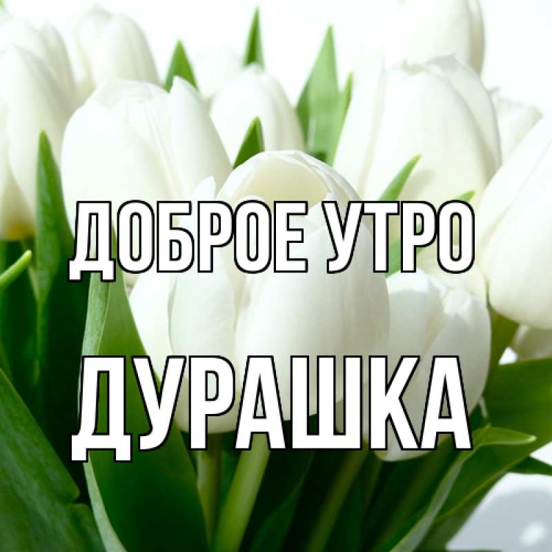 Картинка Доброе утро, Дурашка