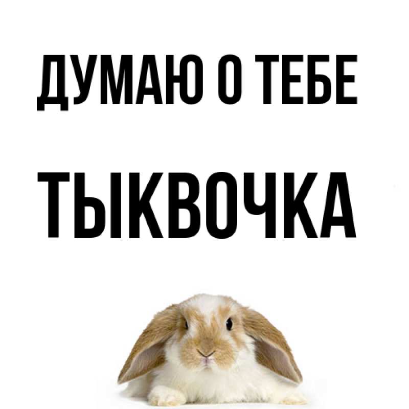 Картинка Думаю о тебе, тыквочка