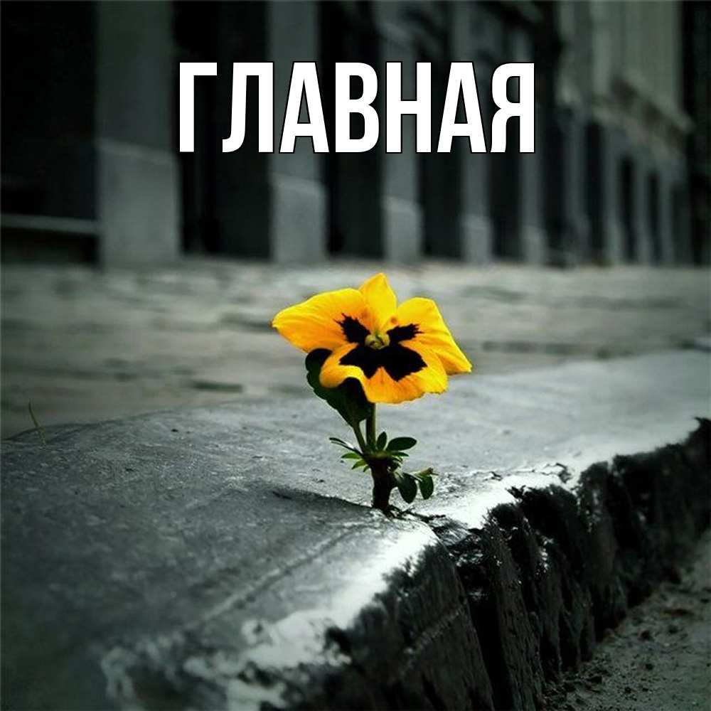 Открытка на каждый день с именем, Анна Главная надеюсь будет лучше Прикольная открытка с пожеланием онлайн скачать бесплатно 