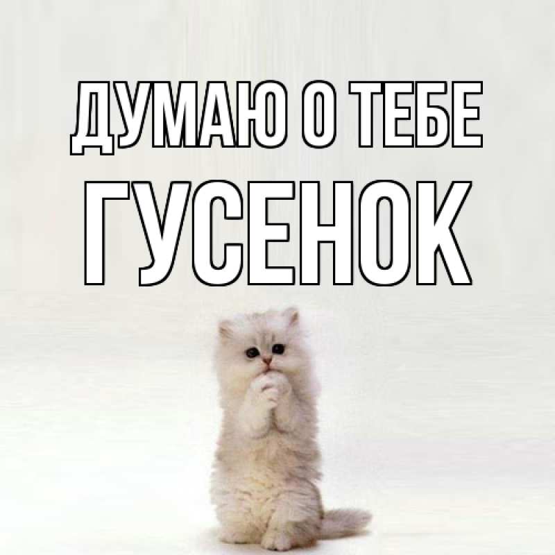 Картинка Думаю о тебе, гусенок