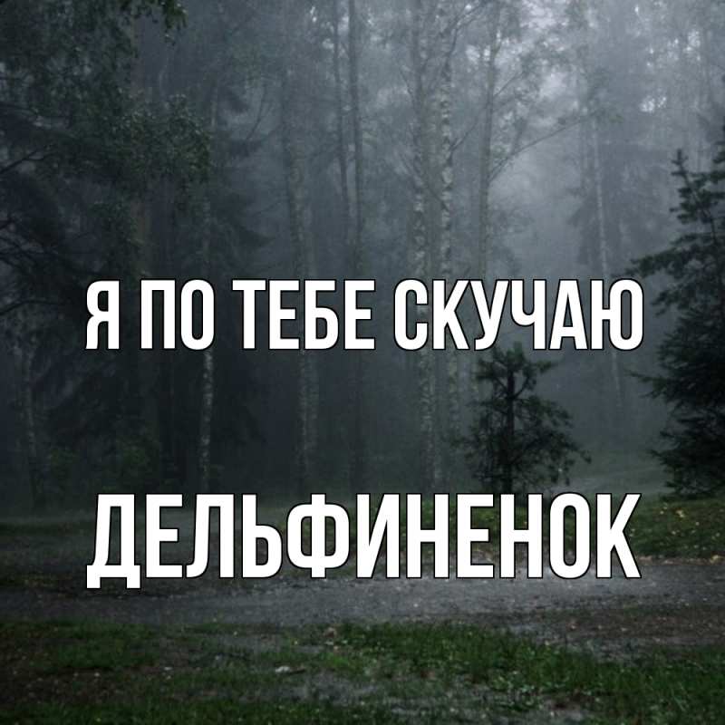 Картинка Я по тебе скучаю, дельфиненок