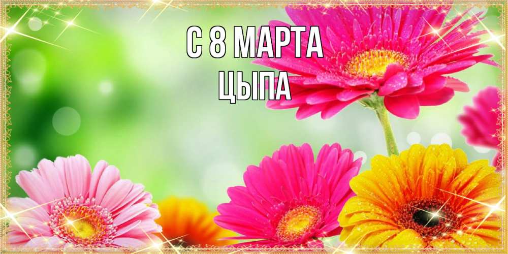 Открытка на каждый день с именем, Цыпа C 8 МАРТА цветочки для любимой женщины Прикольная открытка с пожеланием онлайн скачать бесплатно 