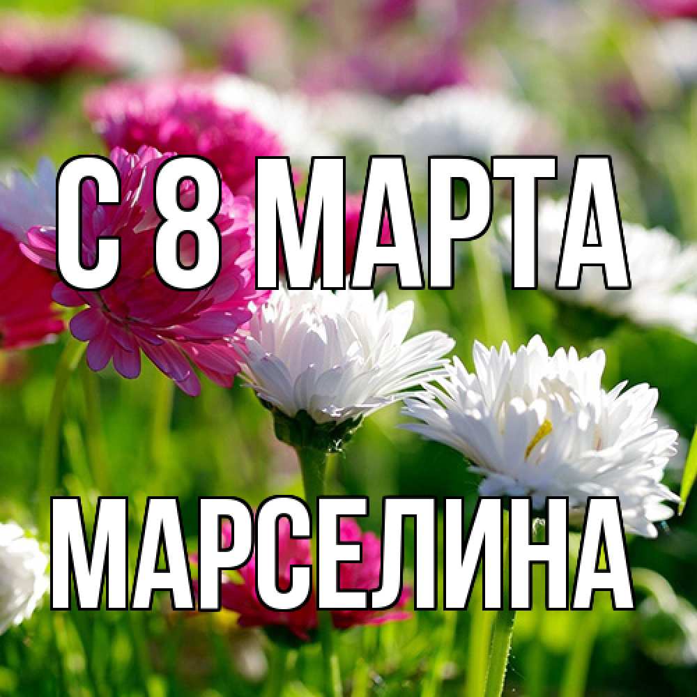 Открытка на каждый день с именем, Марселина C 8 МАРТА международный женский день 1 Прикольная открытка с пожеланием онлайн скачать бесплатно 