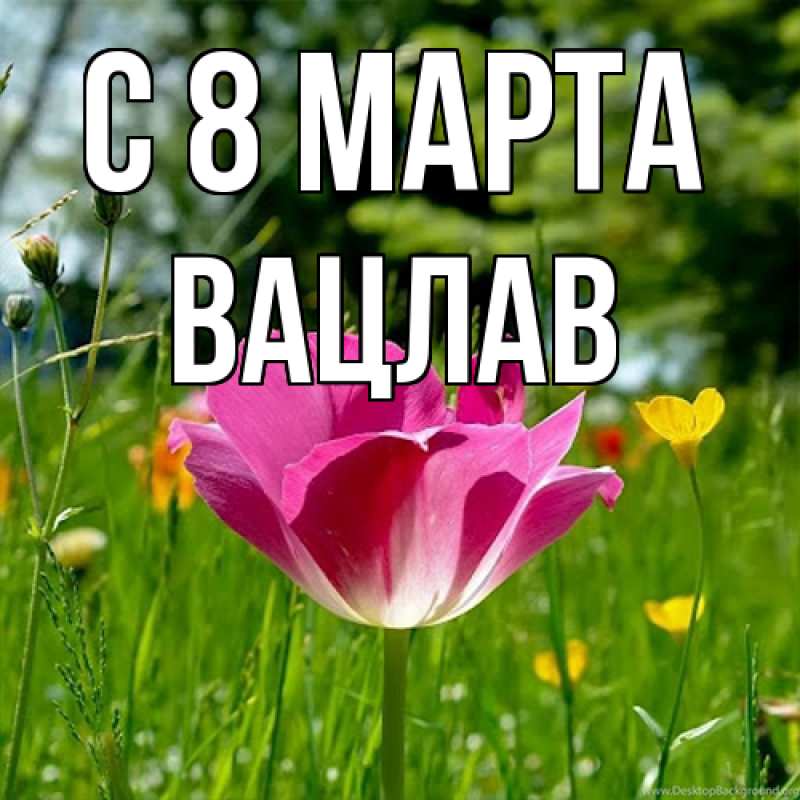 Картинка C 8 МАРТА, Вацлав