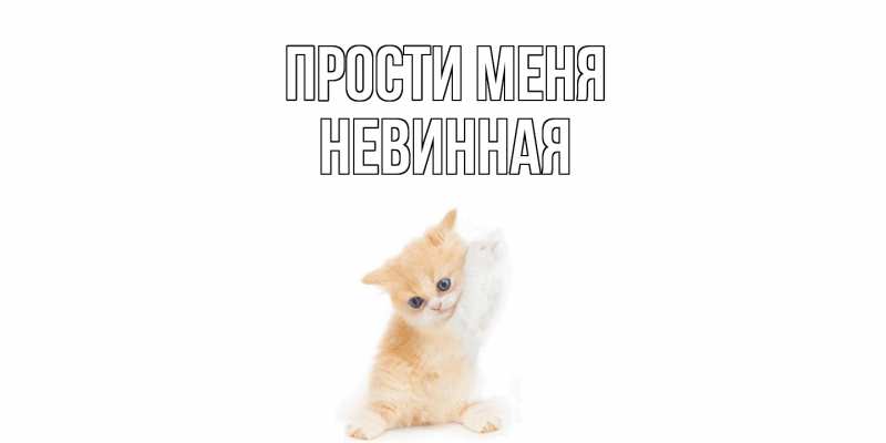 Картинка Прости меня, невинная