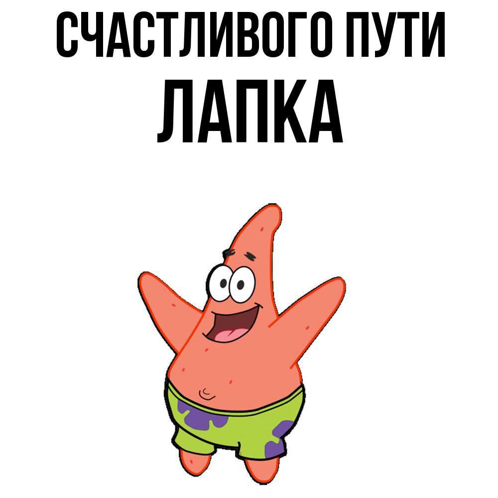 Открытка на каждый день с именем, лапка Счастливого пути желает тебе хорошей дороги Прикольная открытка с пожеланием онлайн скачать бесплатно 