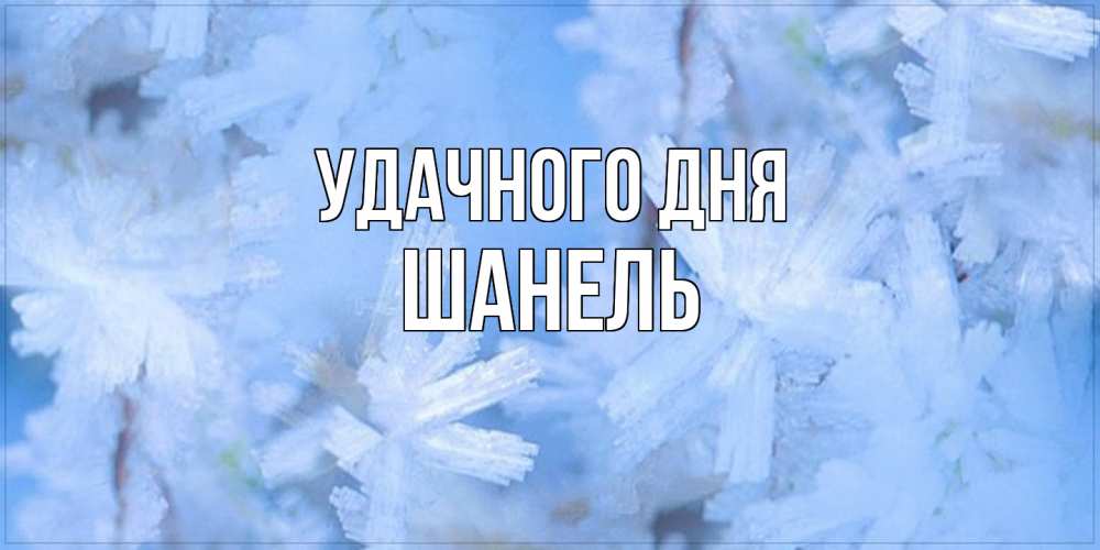 Открытка на каждый день с именем, Шанель Удачного дня открытка на зимний день Прикольная открытка с пожеланием онлайн скачать бесплатно 