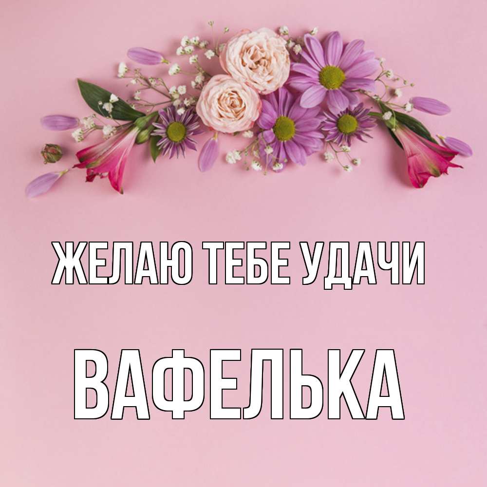 Открытка на каждый день с именем, вафелька Желаю тебе удачи розовый фон Прикольная открытка с пожеланием онлайн скачать бесплатно 