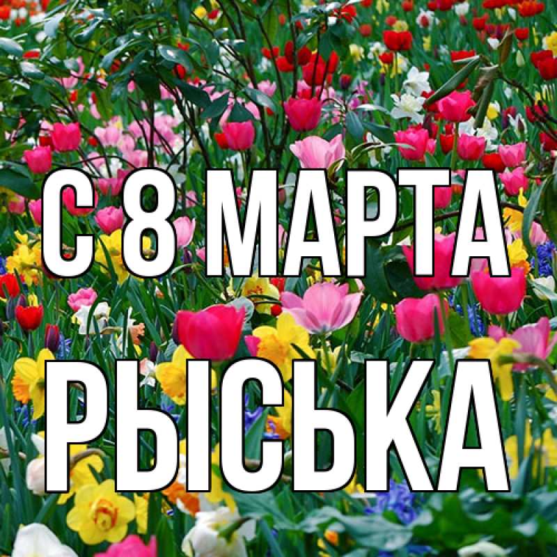 Картинка C 8 МАРТА, Рыська