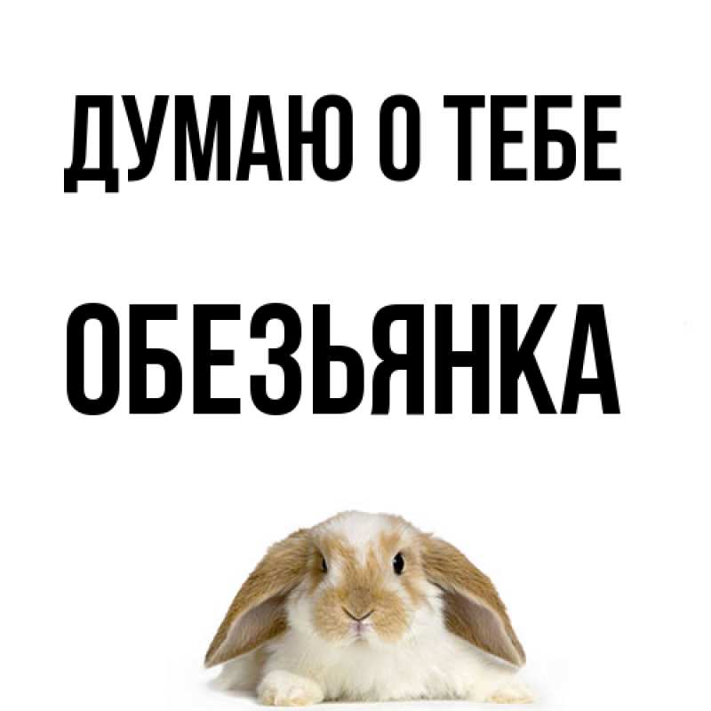 Картинка Думаю о тебе, Обезьянка