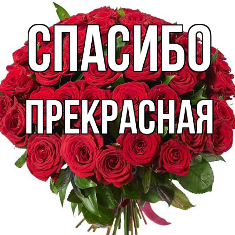 Картинка Спасибо, Пpекpасная