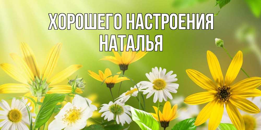 Открытка на каждый день с именем, Наталья Хорошего настроения цветы Прикольная открытка с пожеланием онлайн скачать бесплатно 