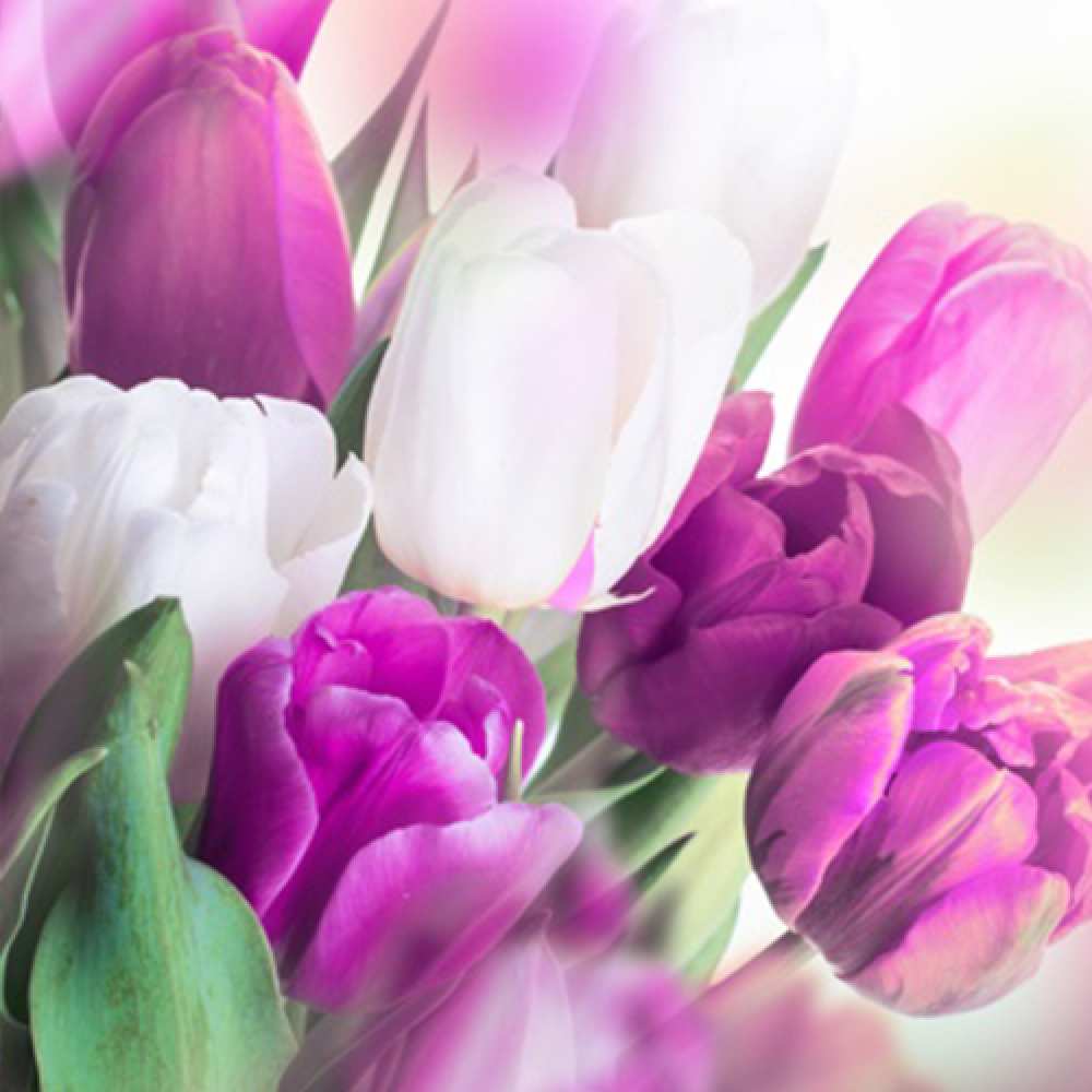 Открытка на каждый день с именем, Цветочек C 8 МАРТА весна 1 Прикольная открытка с пожеланием онлайн скачать бесплатно 