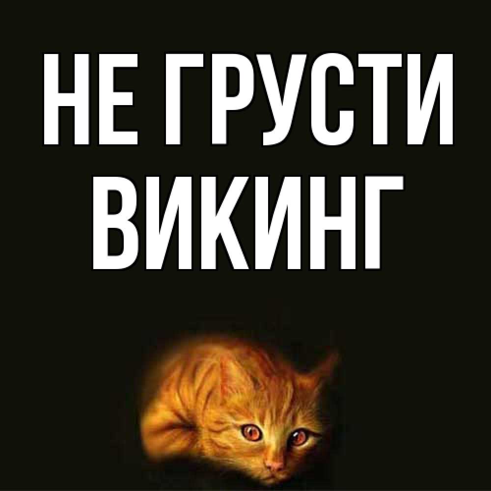 Открытка на каждый день с именем, Викинг Не грусти лежащий кот в темноте Прикольная открытка с пожеланием онлайн скачать бесплатно 