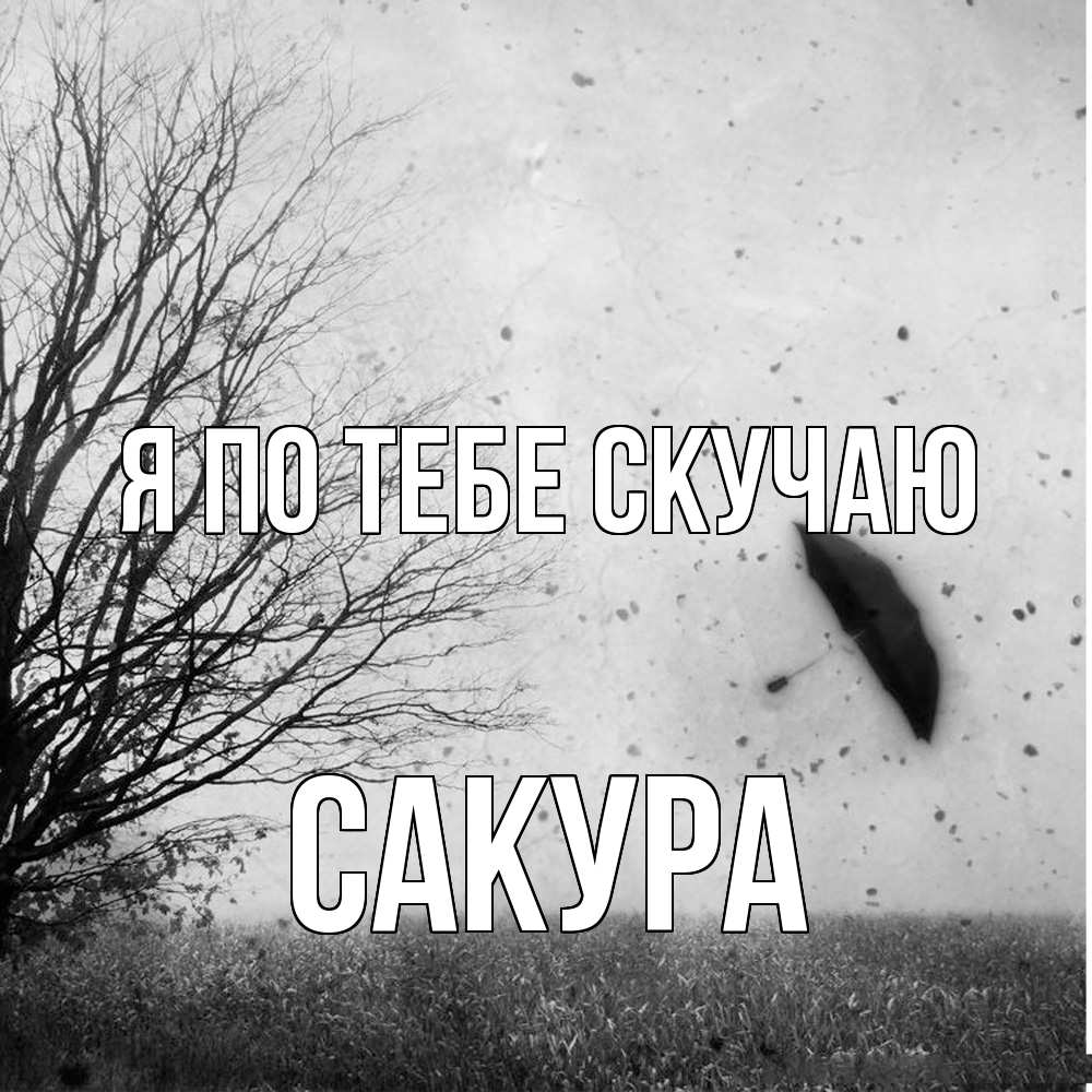 Открытка на каждый день с именем, Сакура Я по тебе скучаю зонт летит Прикольная открытка с пожеланием онлайн скачать бесплатно 