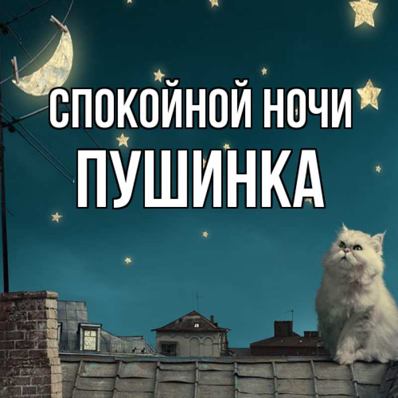Картинка Спокойной ночи, пушинка