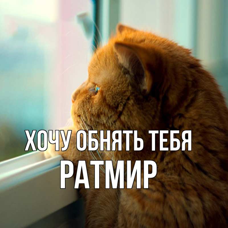 Картинка Хочу обнять тебя, Ратмир