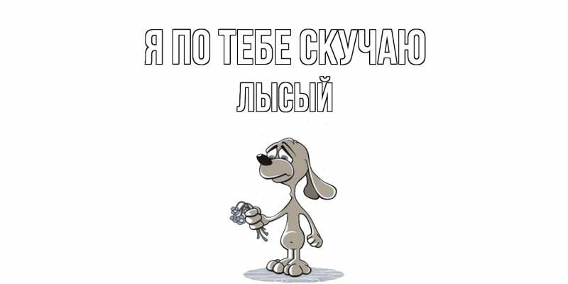 Картинка Я по тебе скучаю, Лысый