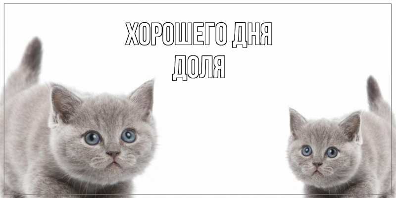 Картинка Хорошего дня, Доля