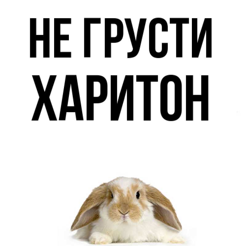 Картинка Не грусти, Харитон