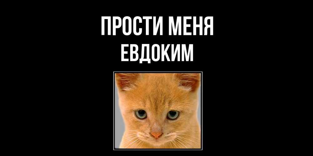 Открытка на каждый день с именем, Евдоким Прости меня рыжий грустный кот просит прощения Прикольная открытка с пожеланием онлайн скачать бесплатно 