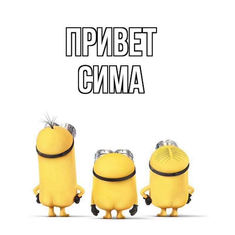 Картинка Привет, Сима