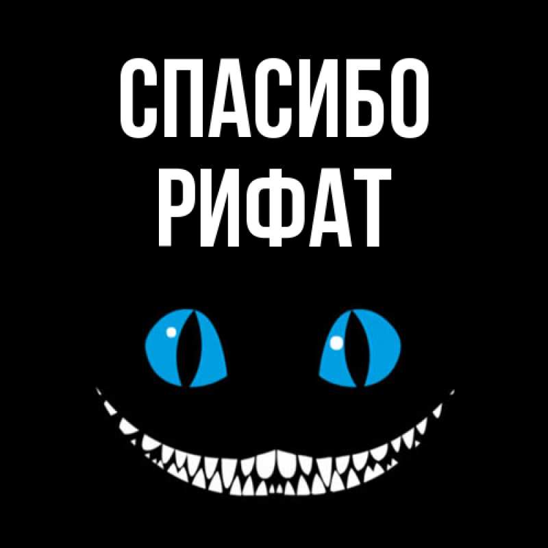 Картинка Спасибо, Рифат