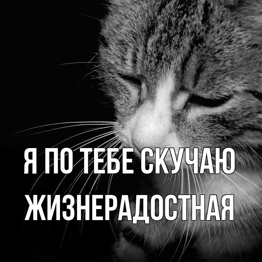 Открытка на каждый день с именем, Жизнерадостная Я по тебе скучаю мне скучно Прикольная открытка с пожеланием онлайн скачать бесплатно 