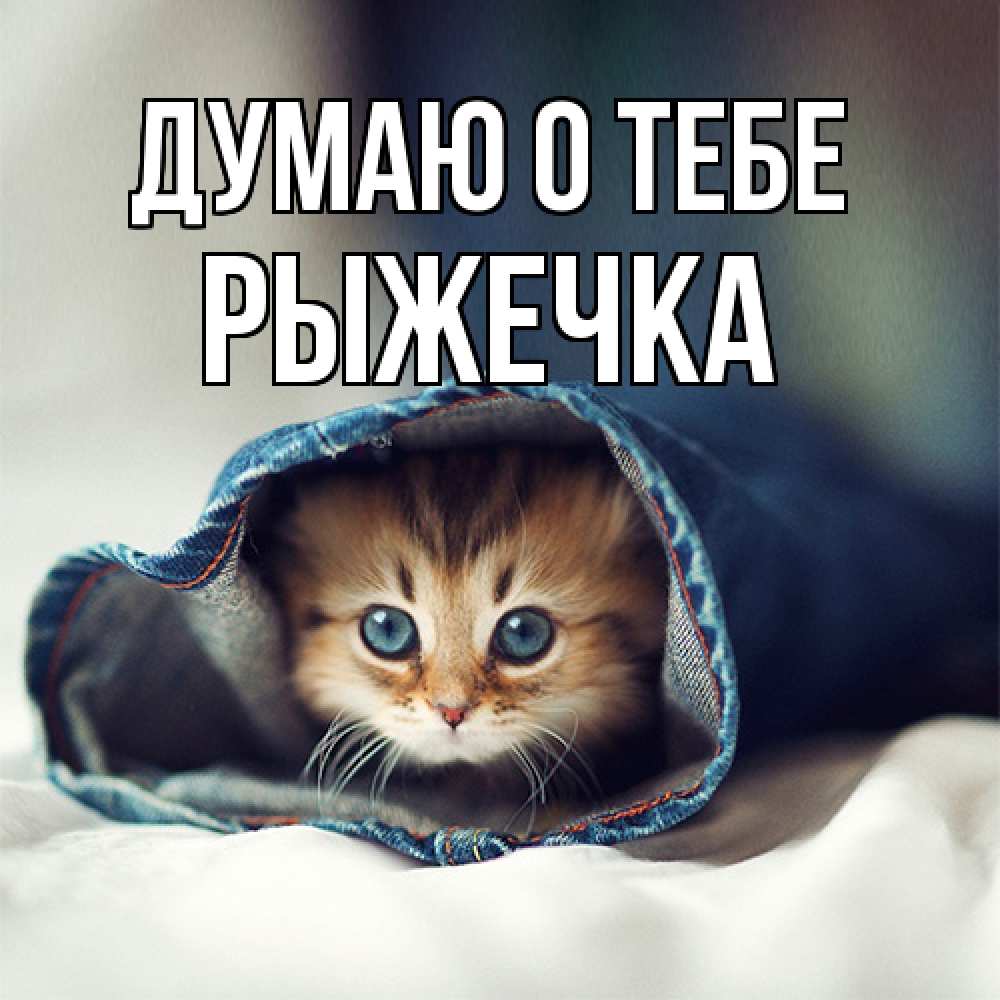 Открытка на каждый день с именем, рыжечка Думаю о тебе мне без тебя плохо Прикольная открытка с пожеланием онлайн скачать бесплатно 