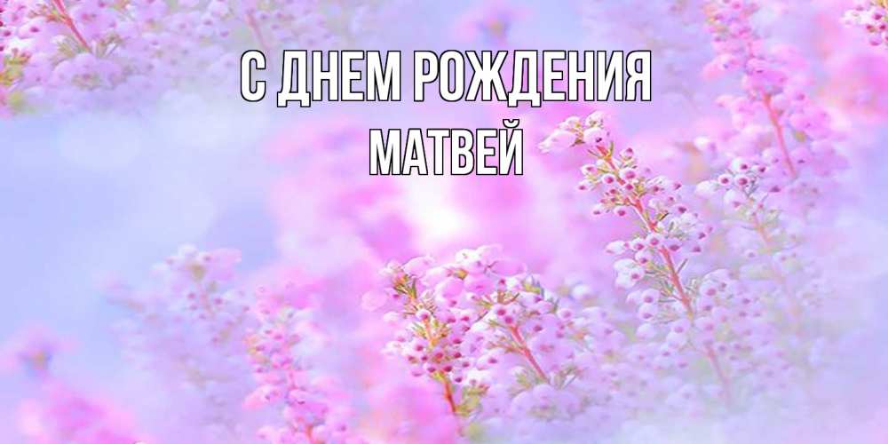 Открытка на каждый день с именем, Матвей С днем рождения красивая открытка с мелкими цветами Прикольная открытка с пожеланием онлайн скачать бесплатно 