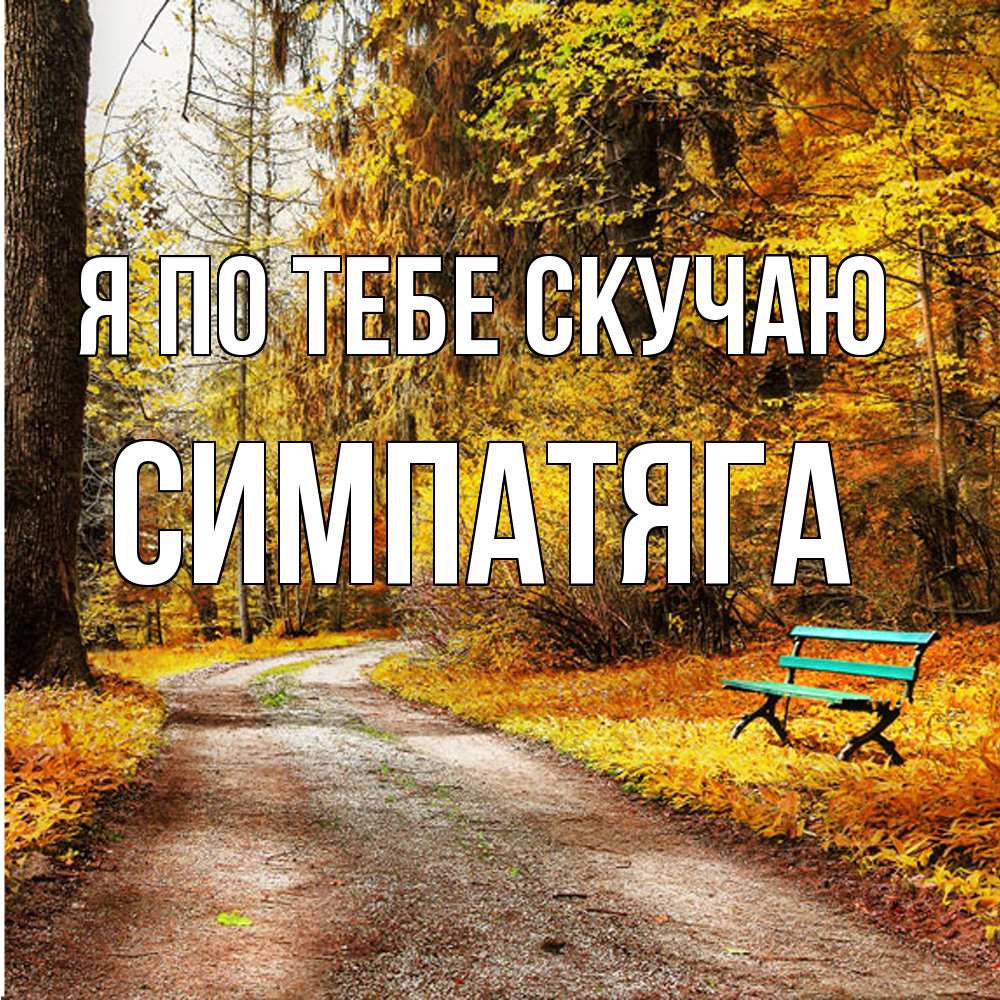 Открытка на каждый день с именем, Симпатяга Я по тебе скучаю зеленая лавочка и осенний лес Прикольная открытка с пожеланием онлайн скачать бесплатно 