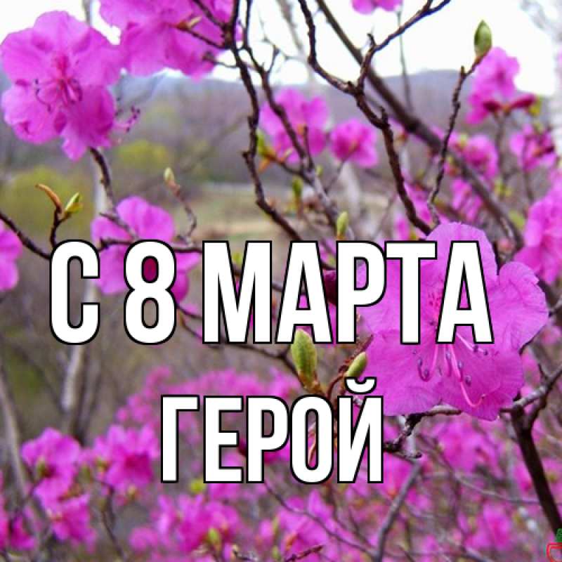 Открытка с именем, Герой, C 8 МАРТА