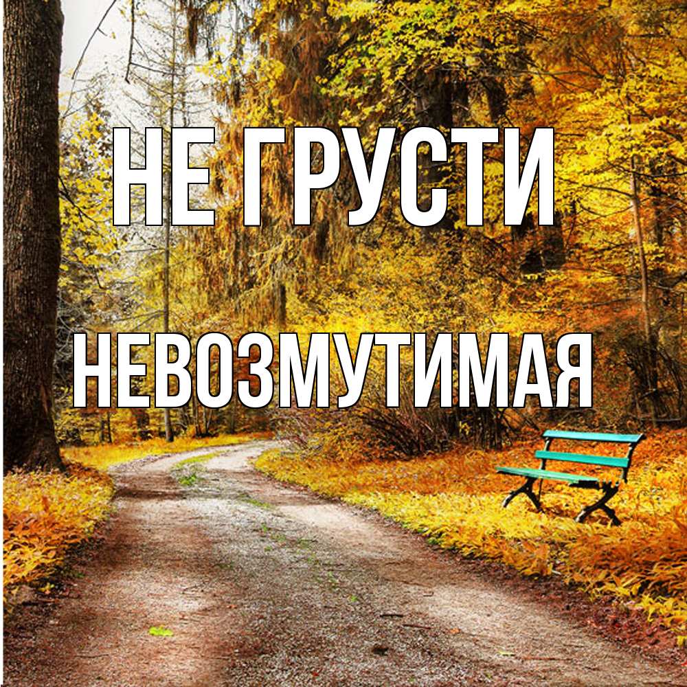 Открытка на каждый день с именем, Невозмутимая Не грусти зеленая лавочка Прикольная открытка с пожеланием онлайн скачать бесплатно 