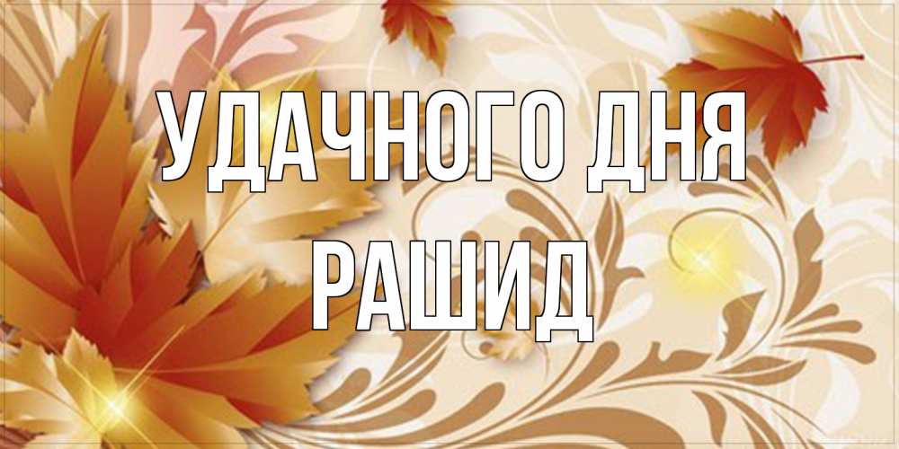 Открытка на каждый день с именем, Рашид Удачного дня листики и осеннее настроение Прикольная открытка с пожеланием онлайн скачать бесплатно 