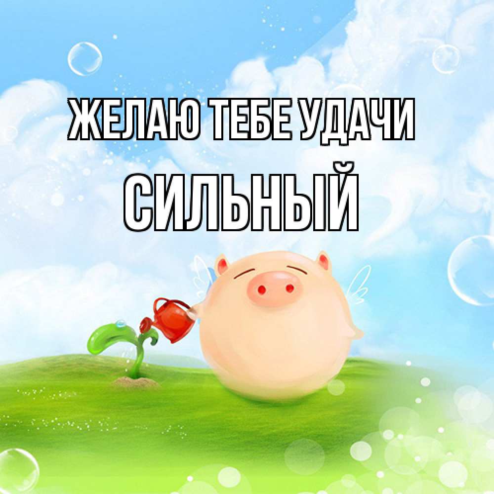 Открытка на каждый день с именем, Сильный Желаю тебе удачи поросенок поливает цветок. летнее настроение Прикольная открытка с пожеланием онлайн скачать бесплатно 