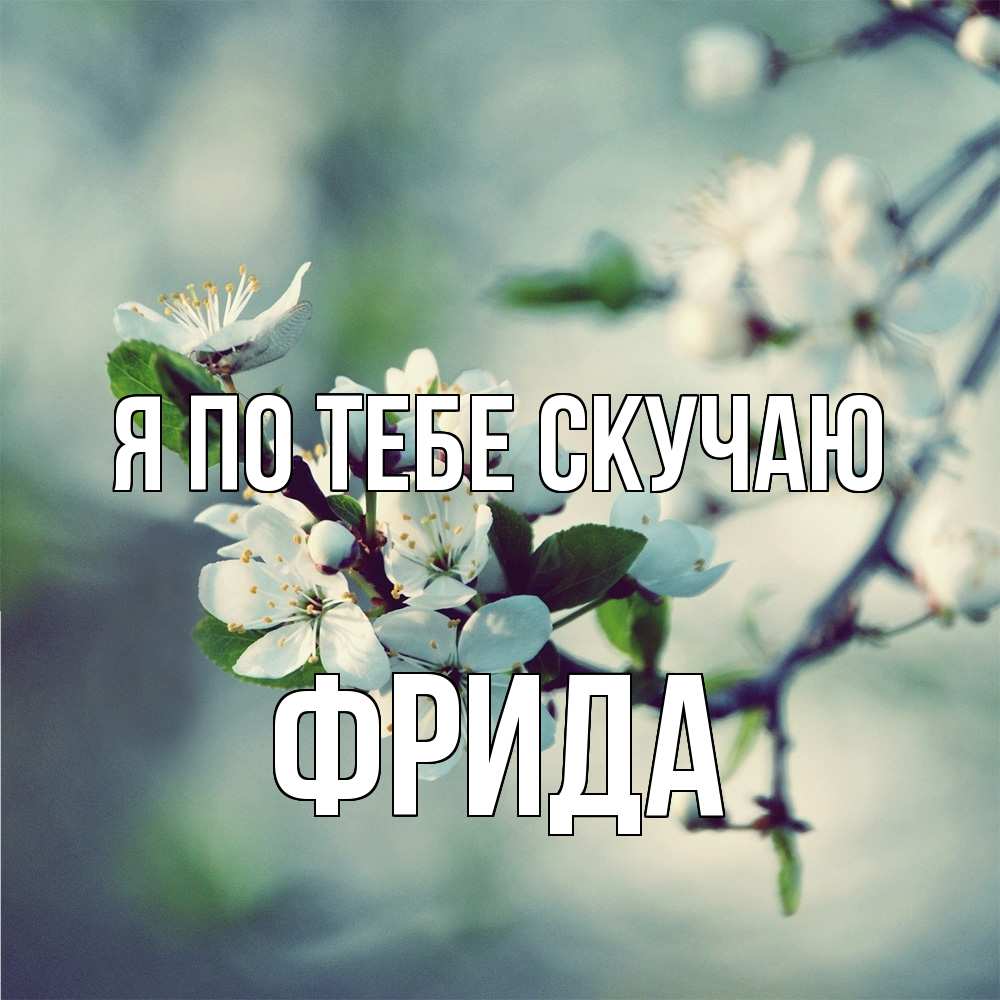 Открытка на каждый день с именем, Фрида Я по тебе скучаю весна Прикольная открытка с пожеланием онлайн скачать бесплатно 