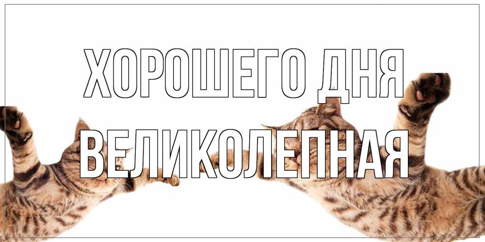 Открытка на каждый день с именем, великолепная Хорошего дня хорошего дня Прикольная открытка с пожеланием онлайн скачать бесплатно 