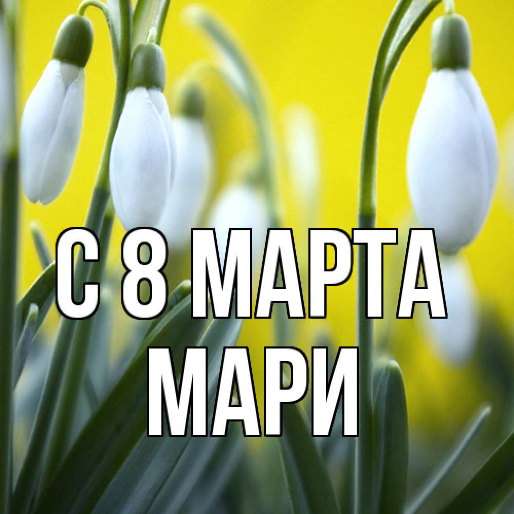 Открытка на каждый день с именем, Мари C 8 МАРТА весенние цветы Прикольная открытка с пожеланием онлайн скачать бесплатно 