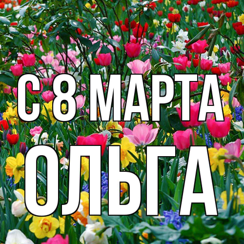 Открытка на каждый день с именем, Ольга C 8 МАРТА с международным женским днем поздравления для женщины Прикольная открытка с пожеланием онлайн скачать бесплатно 