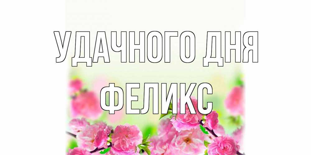 Открытка на каждый день с именем, Феликс Удачного дня цветы Прикольная открытка с пожеланием онлайн скачать бесплатно 