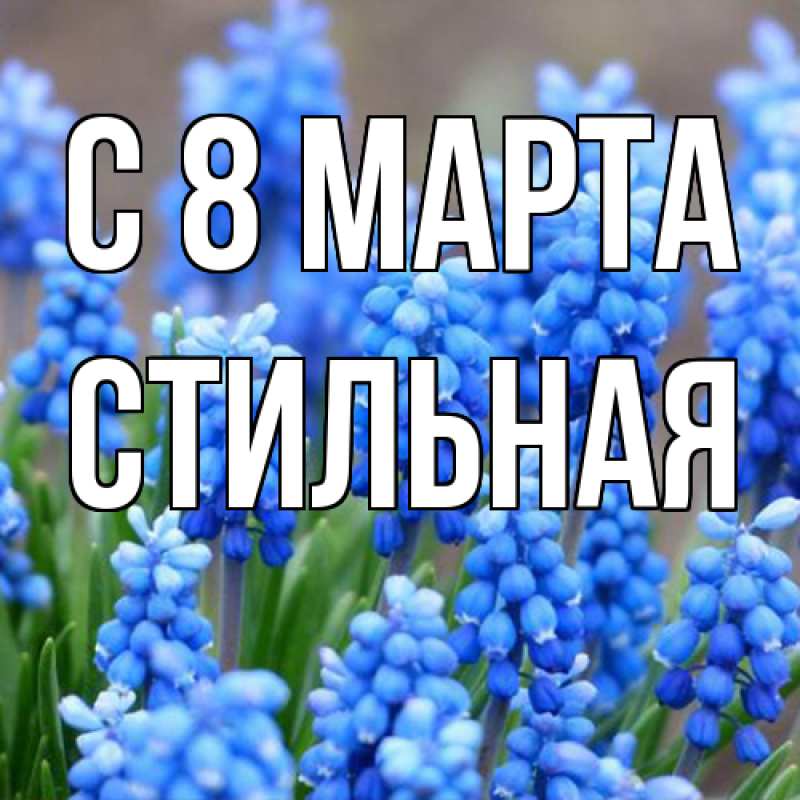 Картинка C 8 МАРТА, Стильная