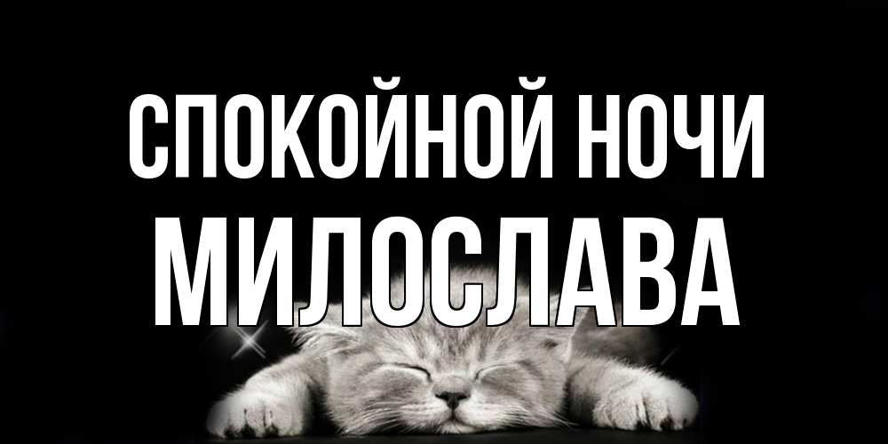 Открытка на каждый день с именем, Милослава Спокойной ночи спящий котик Прикольная открытка с пожеланием онлайн скачать бесплатно 
